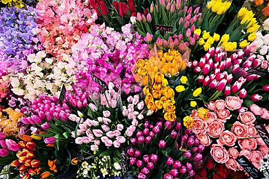 《英灵乱战》新传奇人物上线 妖精女王“Arcadia”